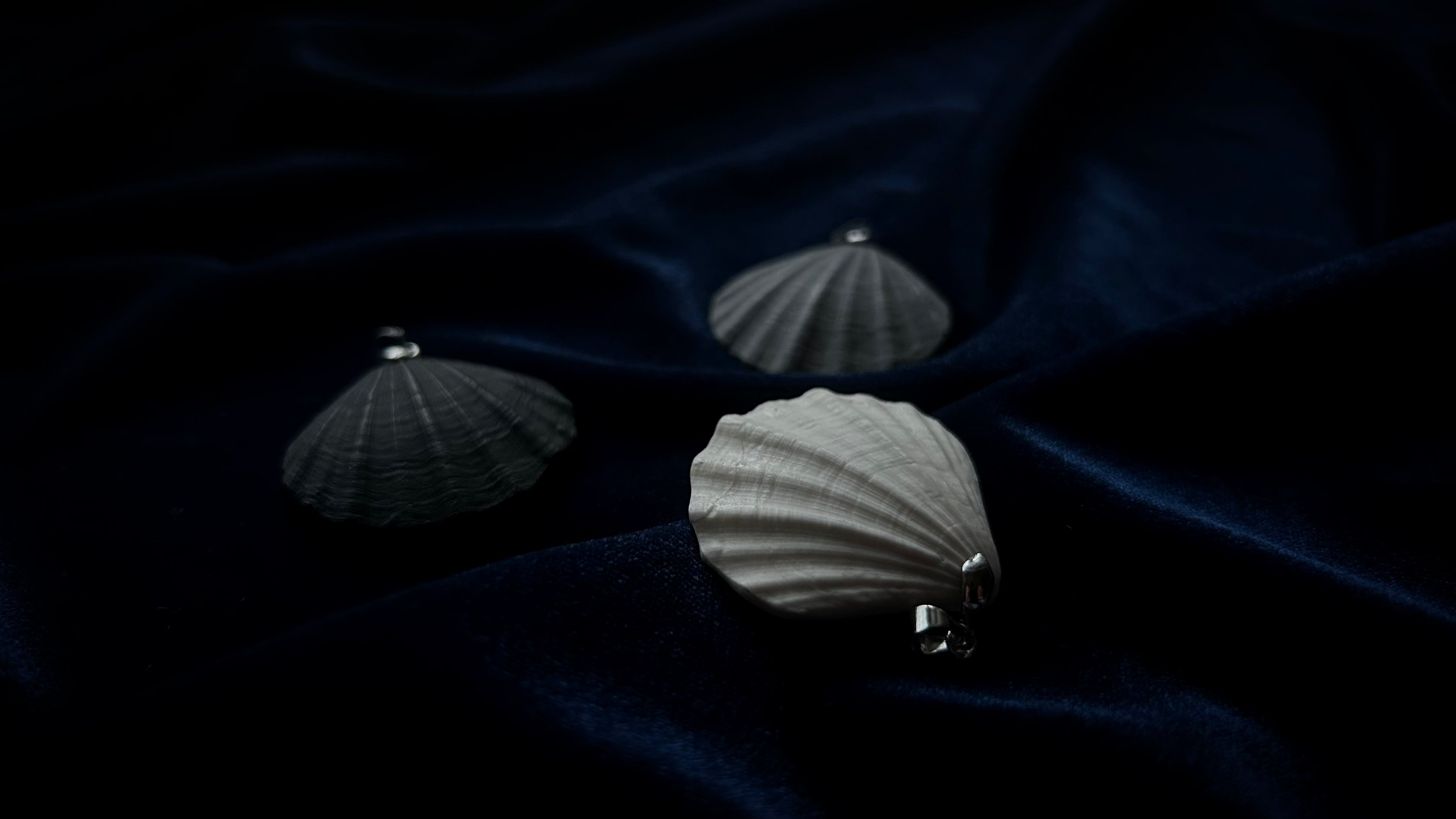 Three silver shell-shaped earrings on a dark blue fabric background