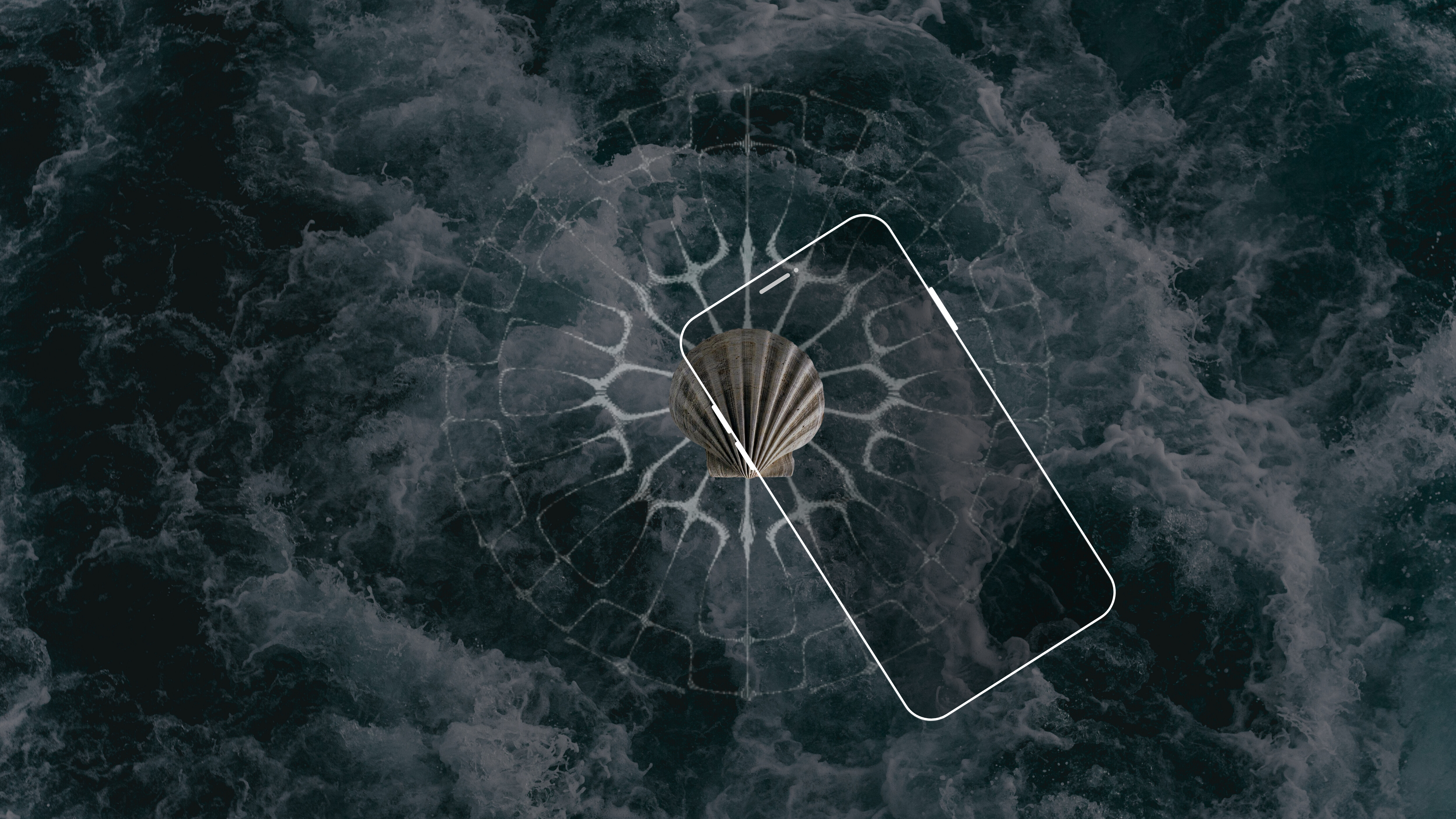 Phone with shell on a dark background